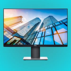 Display Monitor