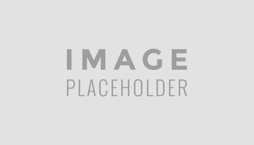 PLACEHOLDER-FALLBACK placeholder-fallback